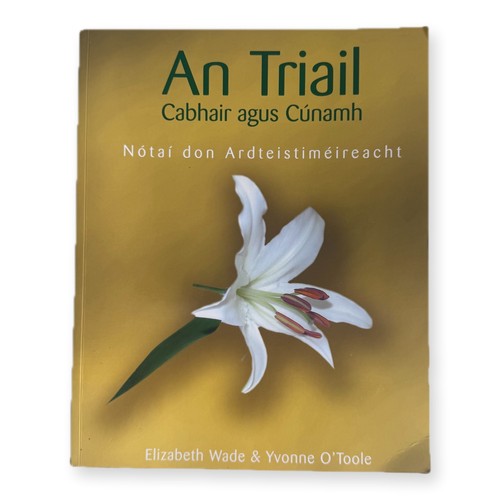Triail cabhair agus cúnamh - agus,