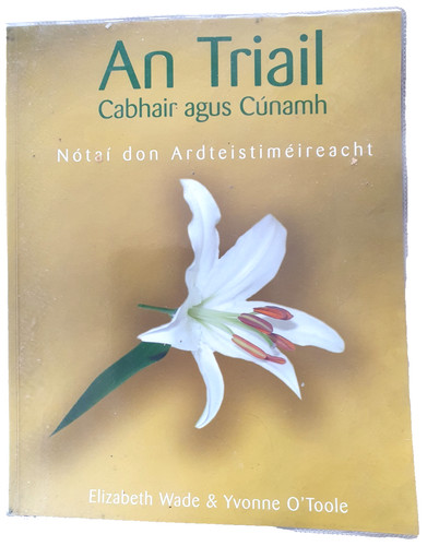 Notai triail leaving - notai, an